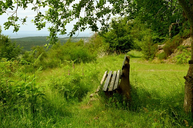 速崭露头角 速崭露头角