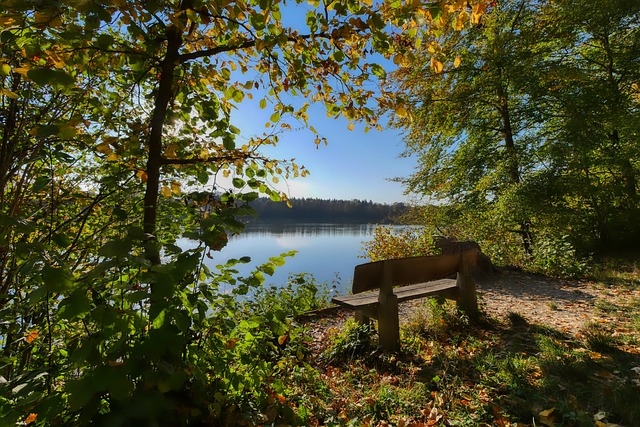 市场大展身 市场大展身