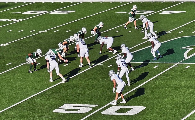 一场注定引 一场注定引