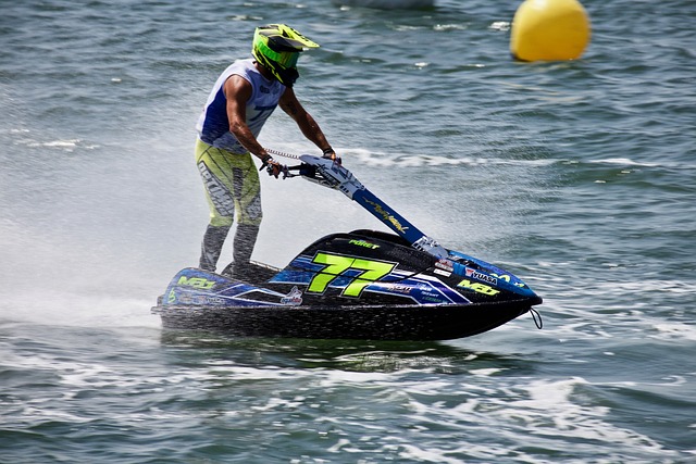 动展现了 动展现了